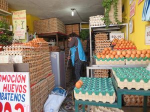 I can walk to the bus station and I am no longer phased that everyday I pass a whole store of eggs.