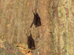 just some friends we found