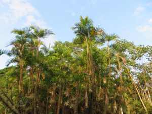 views from the lagoon