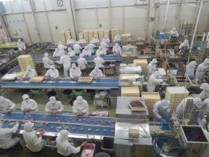 Factory workers at mochi factory