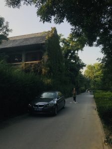 Street on Peking U's campus