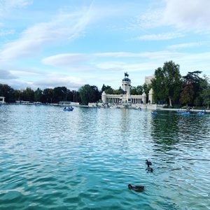 A light blue small pond or lake on a clear blue day with trees and a palace in the distance.