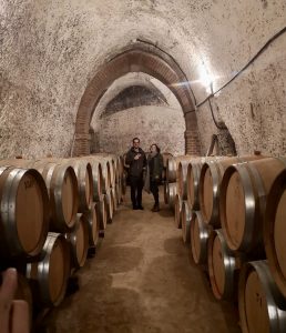 Students standing in a wine cellar, with stone ceilings and arches and many barrels of wine on both sides of the walkway