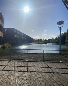 View of the lake on the side of the Djanogly Learning Resource Centre. In the distance, an island is accessible for students to sit on and study