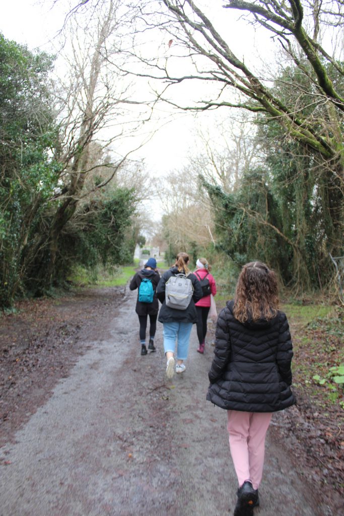 four girls walking away from the camera down a path surrounded by green trees.