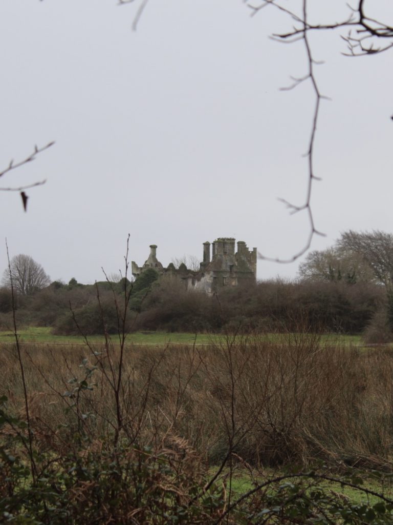 Menlo Castle from a distance with lots of greenery and bushes around it