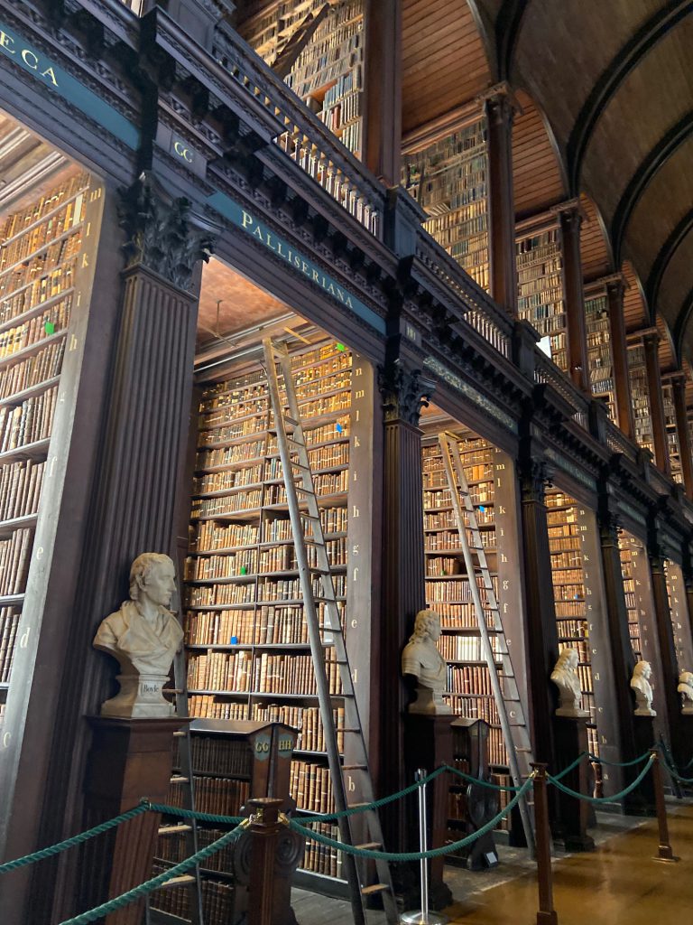 library shelves and marble busts