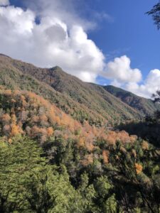 Mountain of autumn colors
