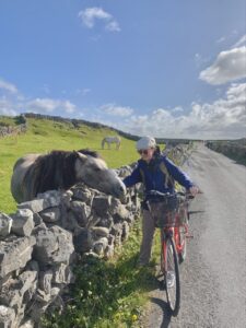 Petting a grey pony during the bike ride along the main road