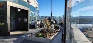 San Francisco International Airport, International Terminal. Large outdoor balcony with lots of seating and travelers eating lunch and waiting for flights. Lots of glass windows and plants