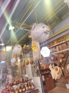 This is one of the shops we passed, with a pufferfish hanging from the ceiling and a bunch of other foods in the background. 