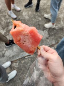 A picture of the frozen watermelon on a stick. 