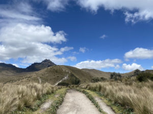 Pictured is part of the Pichincha trail. It is a dirt path with wild grass growing along it. Further parts of the trail are visible on the terrain with bright blue sky and clouds
