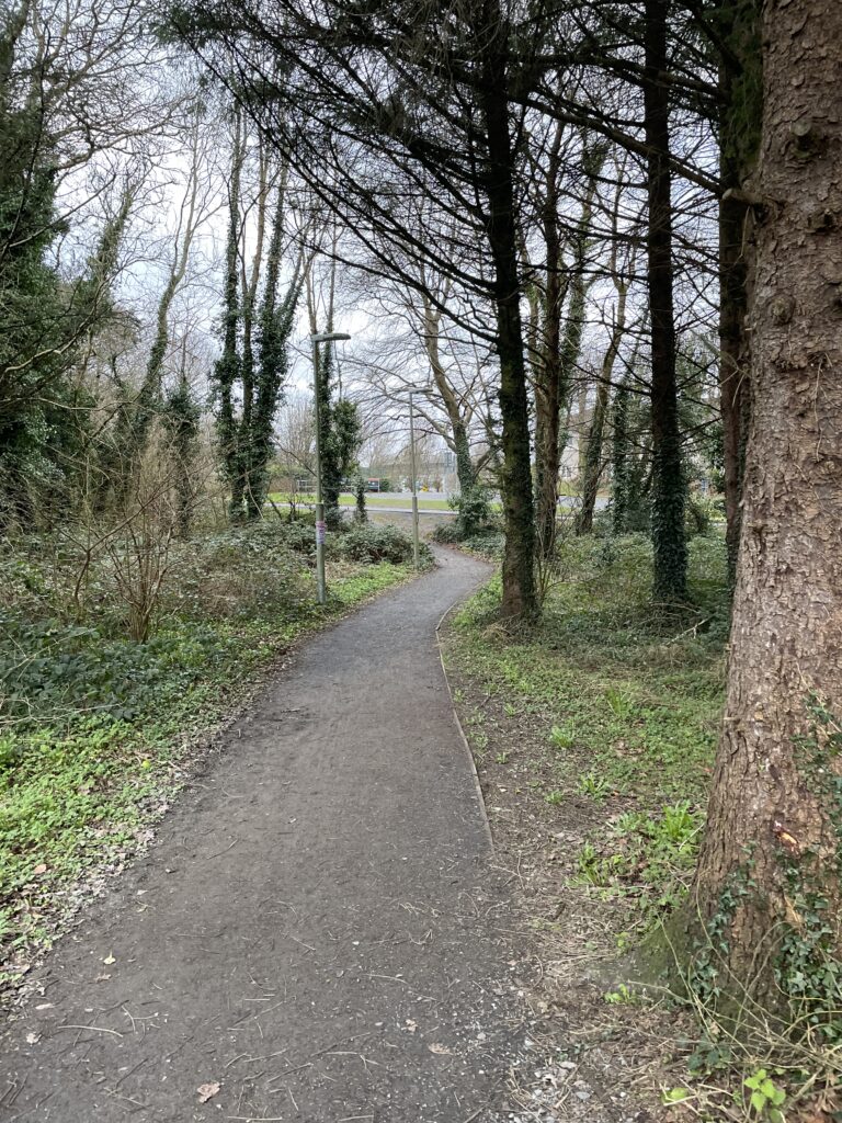 a nature trail with rees on either side