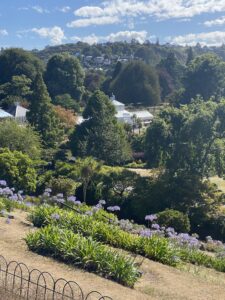 Exploring Dunedin Botanical gardens and seeing the rolling hills and hydrangeas. 