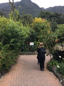 Pictured here is a walkway surrounded by many trees! These trees are also making an archway, which my friend Leena is walking under. This is at the Papallacta hot springs