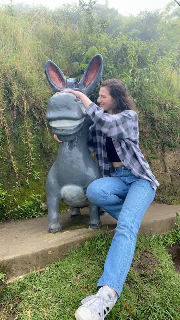 Pictured is me petting a large structure of Donkey from Shrek. 