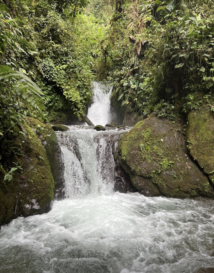 Pictured is another waterfall at Mindo. This waterfall isn't a direct drop, but instead appears more stream like with both flat and drop-off parts. This waterfall is also surrounded by rocks and shrubbery. 