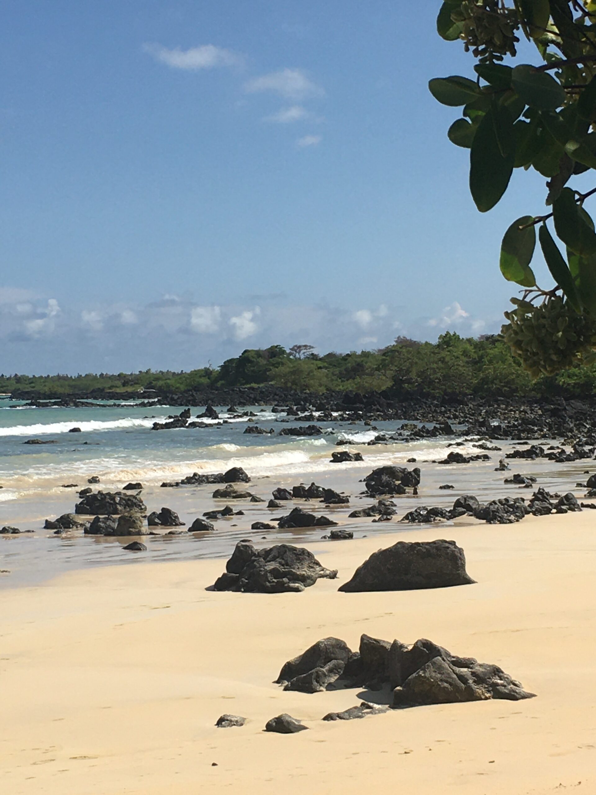 Pictured is a beach in Santa Cruz. On this beach, there is sand with larger rocks within the sand. In the further background are island trees and light waves coming towards the sand. 