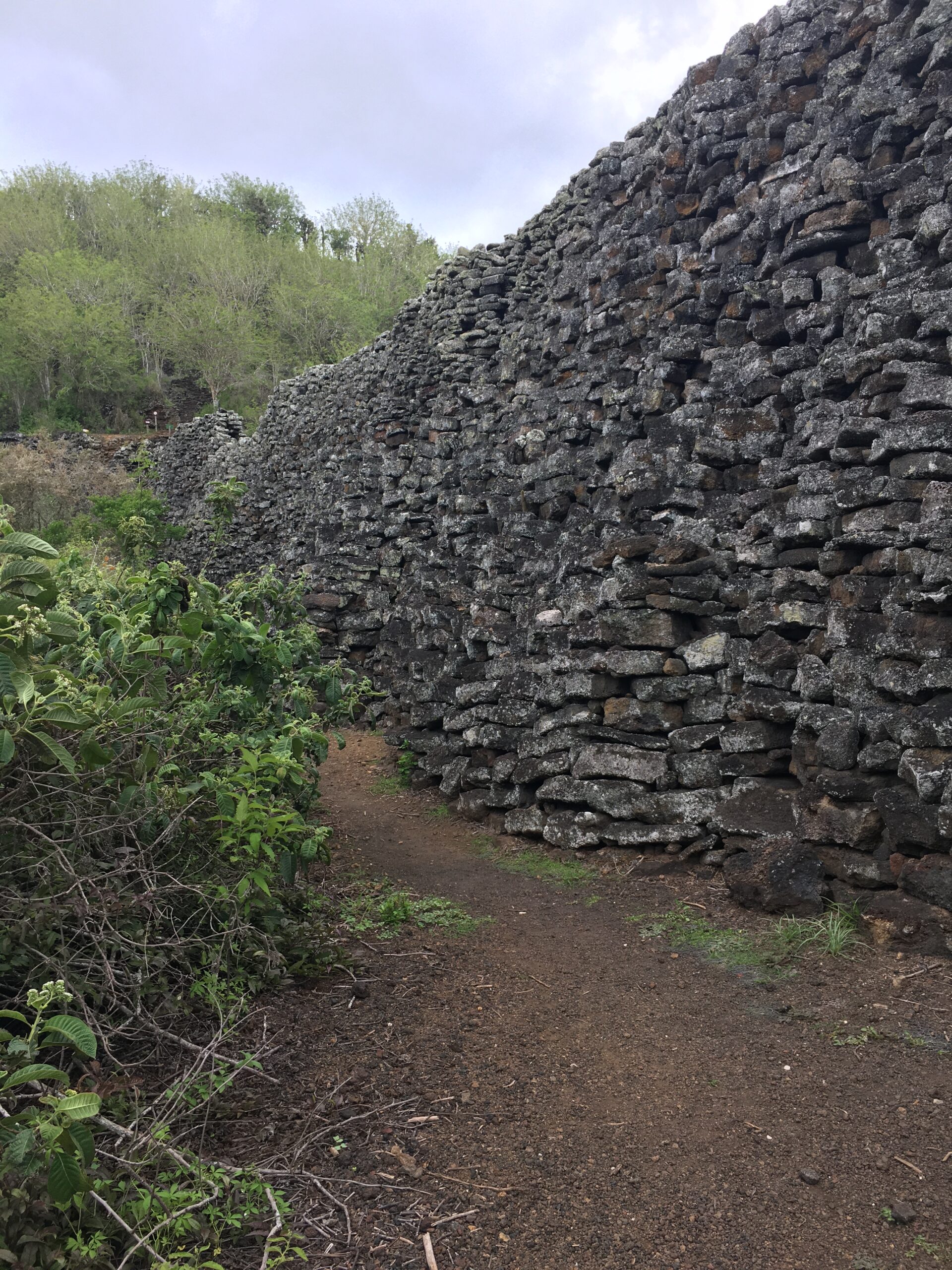 Pictured is El Muro de las Lágrimas. The wall is made out of grey-black stone and continues horizontally until exceeding past the photo limitations. 