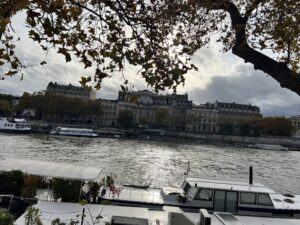 Leaves of a tree color the foreground, and through them you see the sunlight in midday Paris reflecting on the Seine