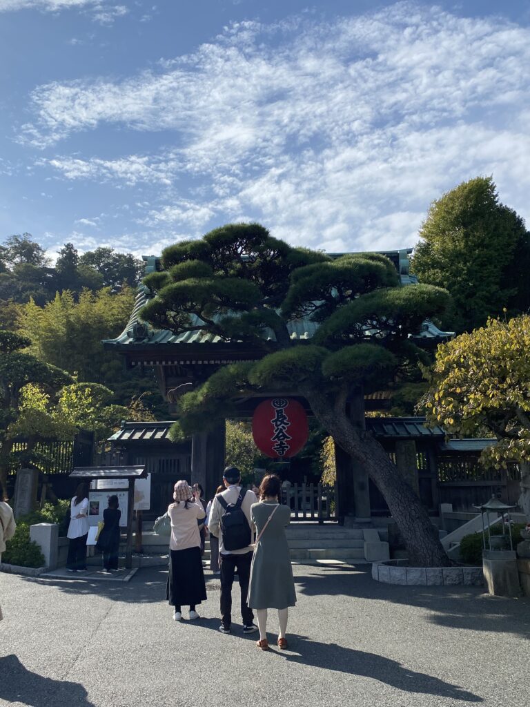 In the center a bonsai tree compliments the entrance to the Hasedera Temple. Some people are taking pictures, others are reading the sign with information on the temple
