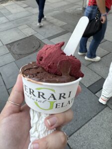 A picture of a cup of gelato from a local gelataria. 
