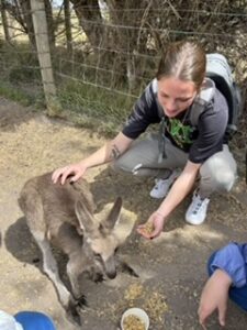 ME kneeling down feeding a little joey kangaroo.