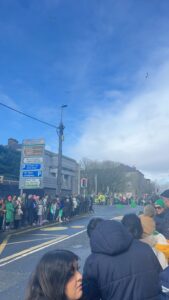 Bustling parade crowd.