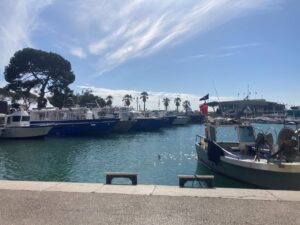The view from lunch sitting next to the Marina with yachts and sailboats.