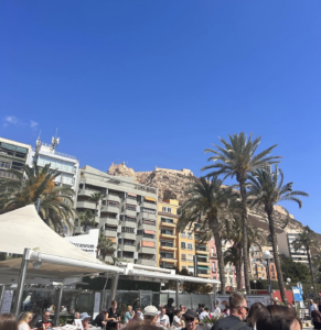 buildings in front of a sandy rock cliff face. Palm trees in clusters of three surround the area.