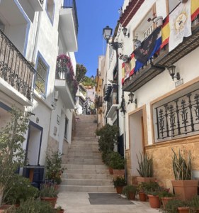 Image of a street consisting of only stairs with colorful banners and many hot weather plants. 
