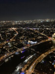 View of Paris at night from the top of the Eiffel Tower. 