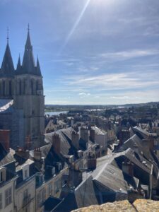 The view from the Château de Blois, with rows of rooftops and the cathedral visible.