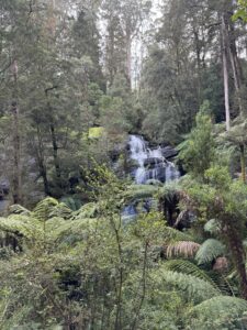Waterfall surrounded by rainforest