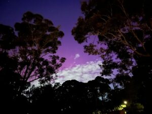 pink and purple sky at night