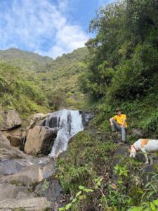 Me sitting by a waterfall in the mountains with a dog.