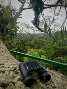 The view of the foliage-covered hillside from a treetop in the Amazon.