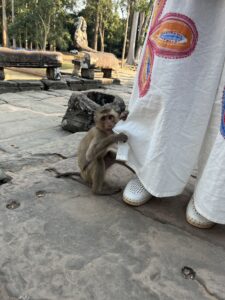 Monkey gripping onto pant leg at Smiley Face (Bayon) Temple in Siem Reap, Cambodia
