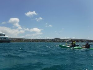 Two people kayaking in a harbor.