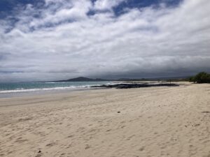 A long beach on Isabela, Galapagos.