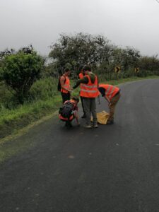 A group of students standing by the road in reflective gear doing bird sampling.