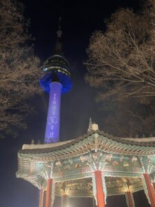 View of the N Seoul Tower before entering