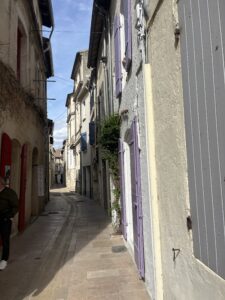 Narrow street with tiled ground. Buildings on either side have colorful window shutters of purple, red, and blue. Greenery hangs from some windows