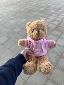 Stuffed bear in pink hoodie