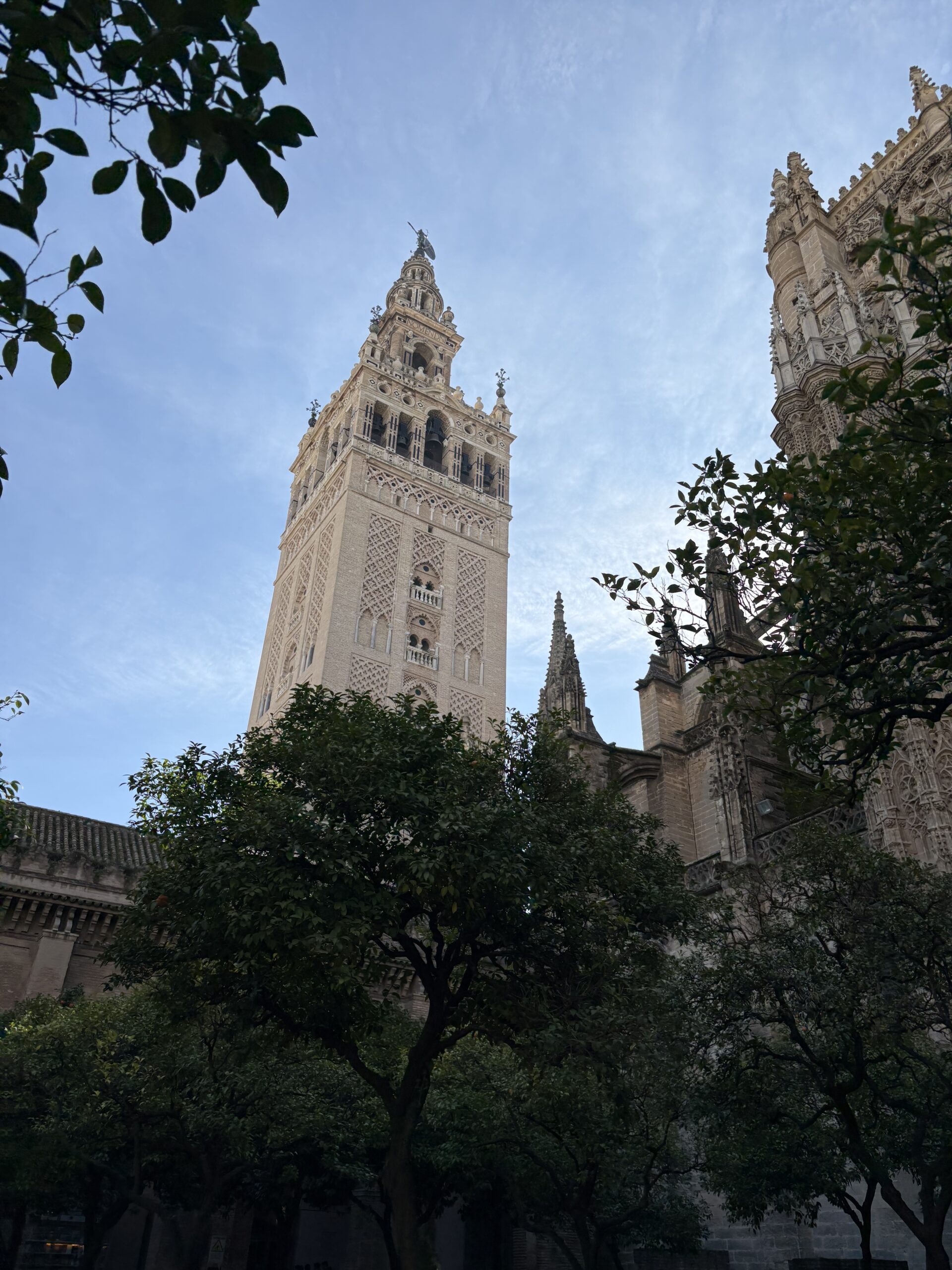 A picture of the Giralda of the Cathedral of Sevilla, taken from the gardens below, the picture shows a display of green trees across the bottom of the cathedral with the Giralda peeking up over the top, which is a rectangularly shaped beige figure