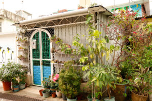 Front door to a village shop surrounded by flowers.