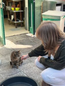 I crouch down and reach out my hand as a tabby cat sniffs it outside a kitchen area with open green doors